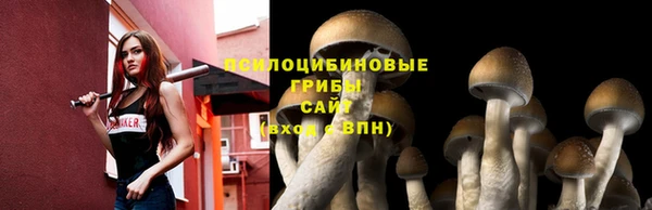 прущая мука Липки