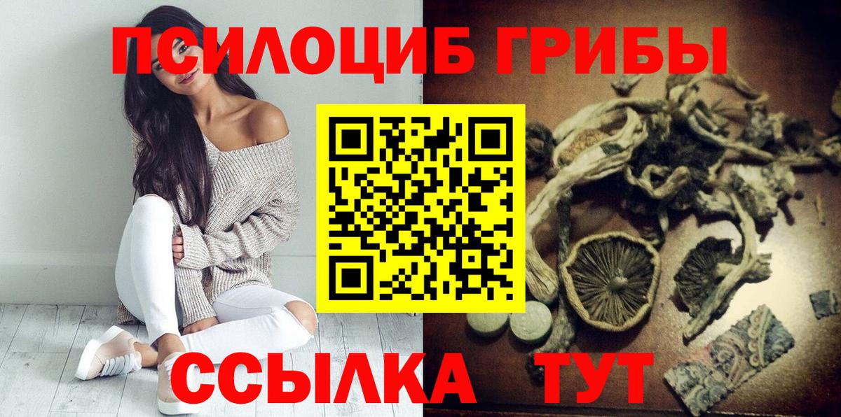 Псилоцибиновые грибы прущие грибы  Вход с VPN  Новодвинск  Галлюциногенные грибы Psilocybine cubensis 